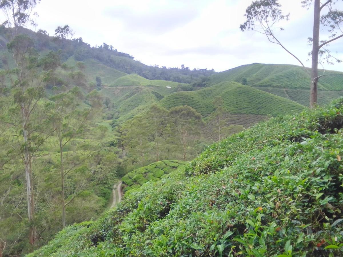 Netasha Holiday Inn And Apartment Cameron Highlands Exterior foto