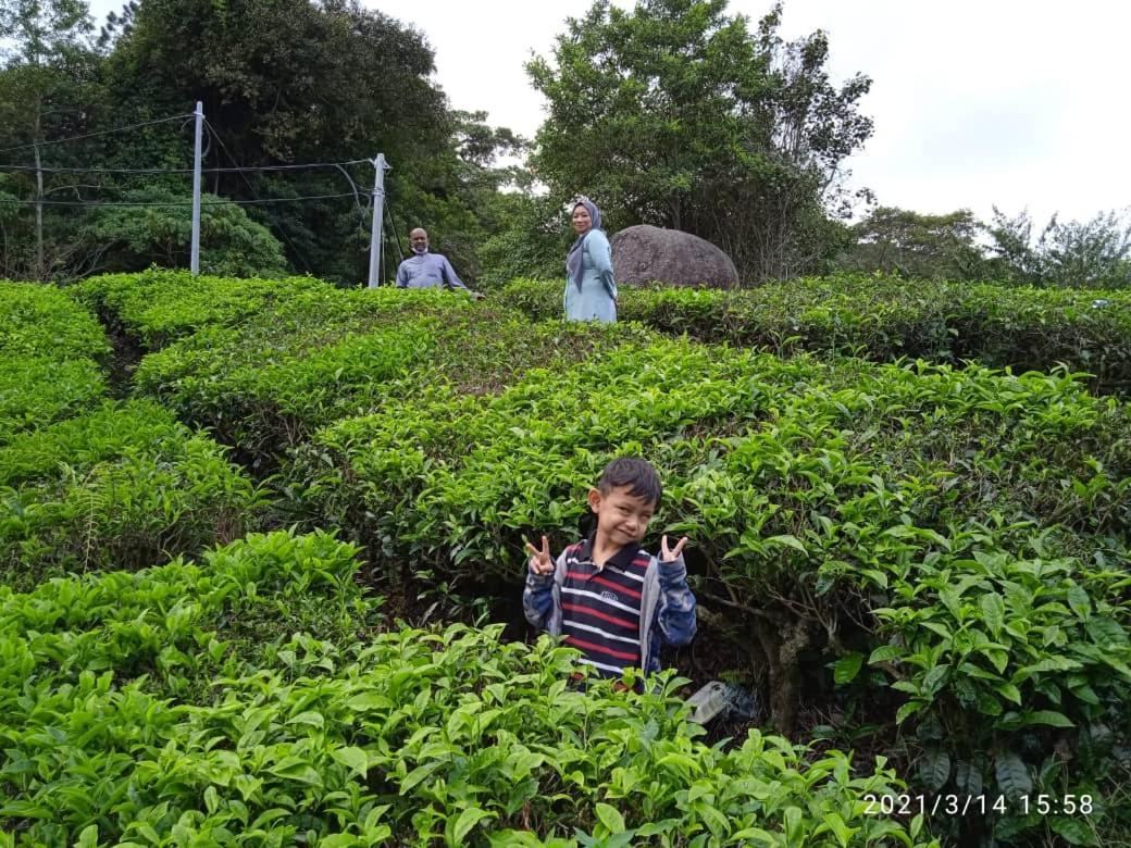 Netasha Holiday Inn And Apartment Cameron Highlands Exterior foto