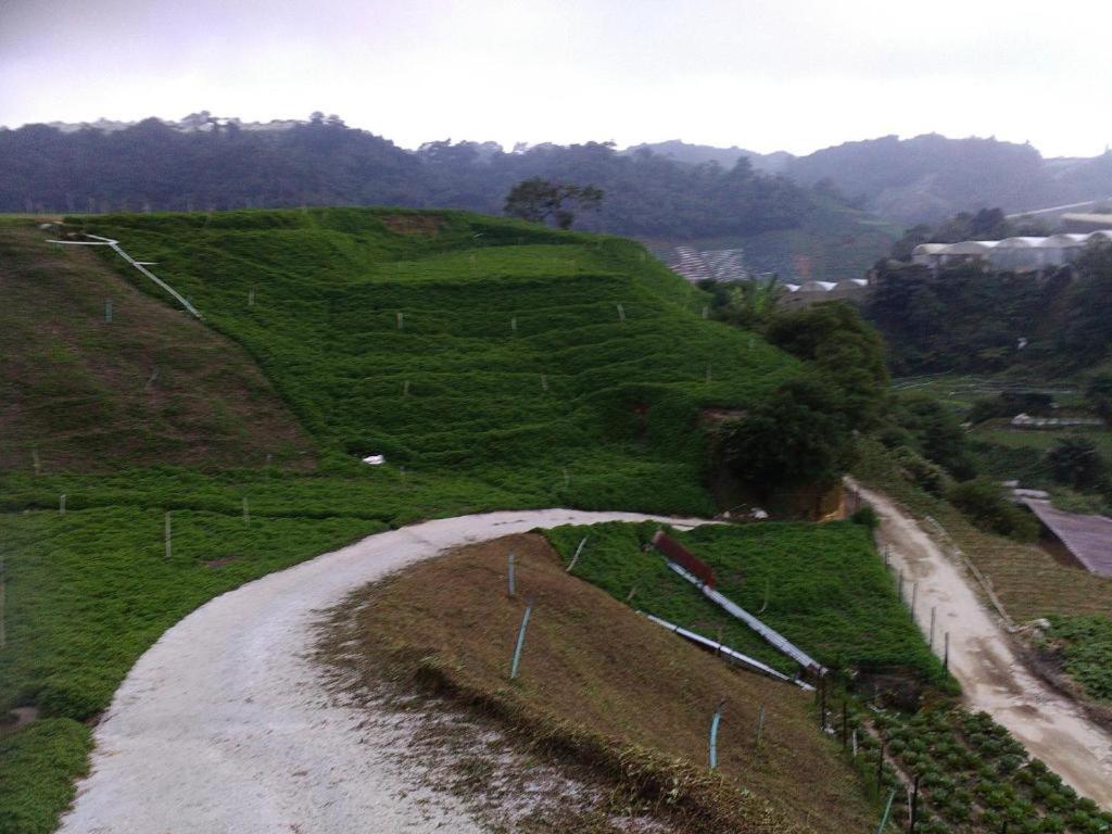 Netasha Holiday Inn And Apartment Cameron Highlands Exterior foto